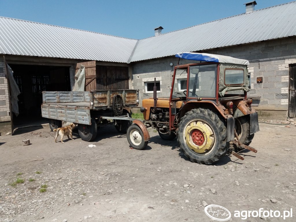 Foto Ciagnik Ursus C 330 Przyczepa Id 693300 Galeria Rolnicza Agrofoto