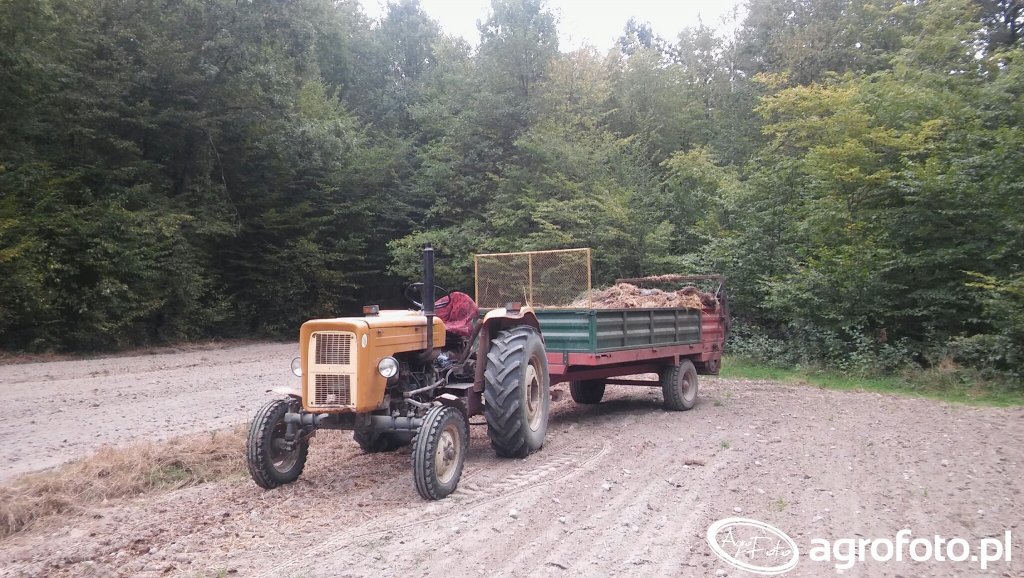 Obraz Ciagnik Ursus C 360 I Rozrzutnik 663231 Galeria Rolnicza Agrofoto