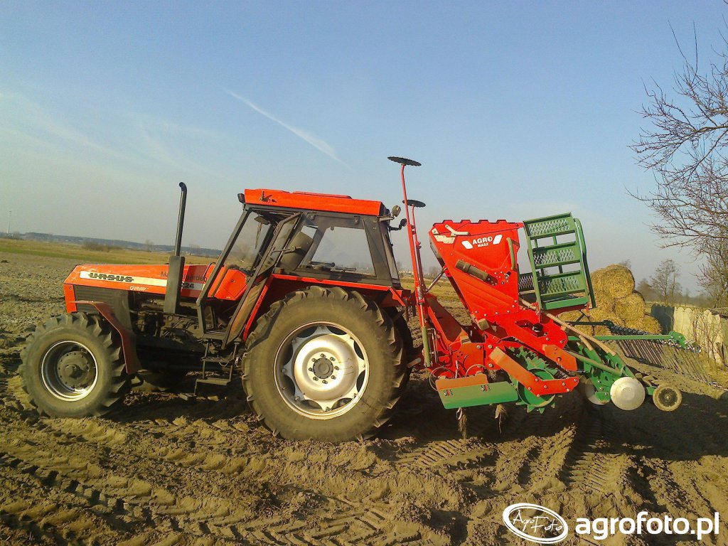 Obraz Traktor Ursus 1224 Id 573071 Galeria Rolnicza Agrofoto