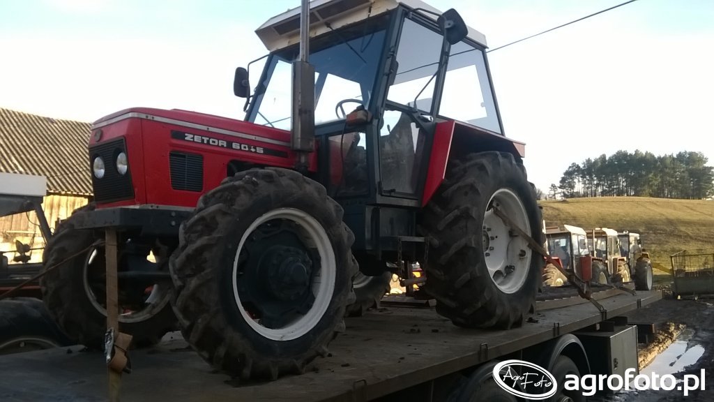 Zdjęcie traktor zetor 6045 663254 Galeria rolnicza agrofoto