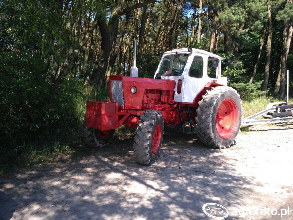 Fotografia Ciagnik MTZ 82 698981 Galeria Rolnicza Agrofoto