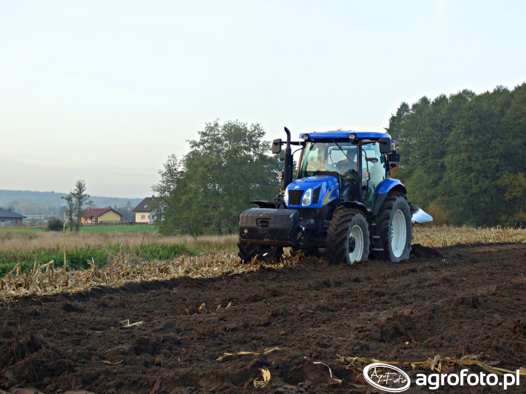 Fotografia Ciagnik New Holland T6020 Id 610762 Galeria Rolnicza Agrofoto