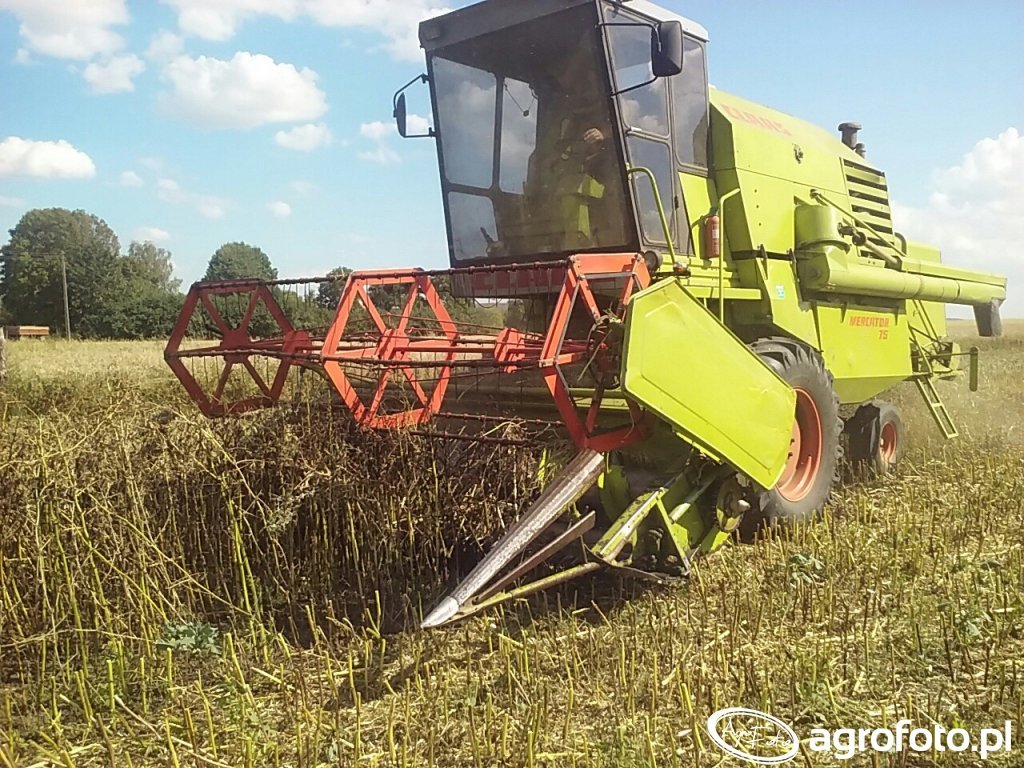 Kombajn Claas Mercator 75 zdjęcie 656549 Galeria rolnicza agrofoto