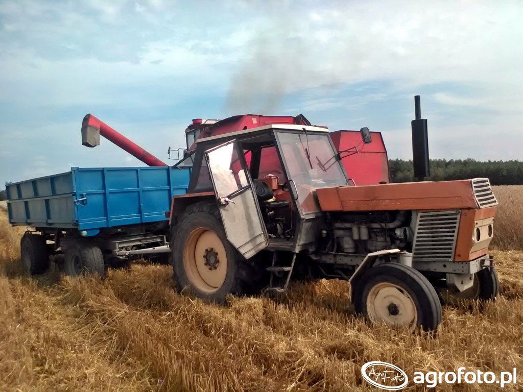 Kombajn Bizon Z Ursus Przyczepa Agro Ps Zdj Cie