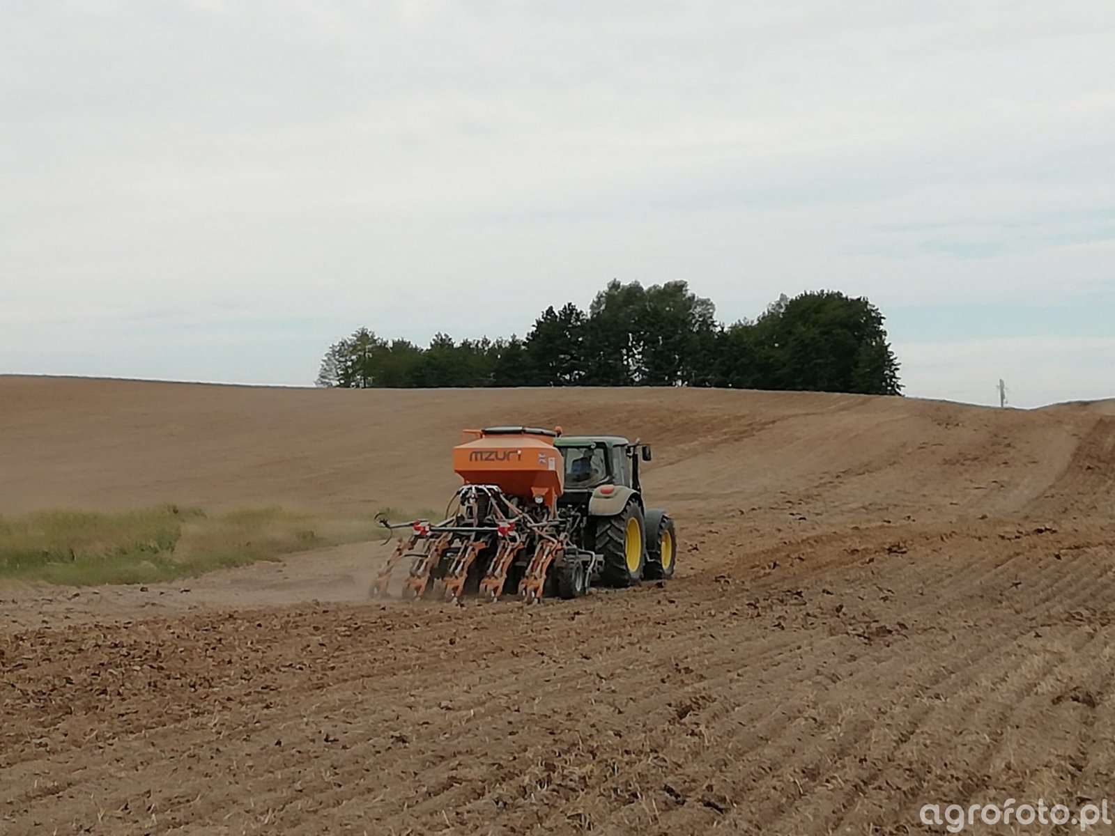 Siew rzepaku 2018 zdjęcie fotka foto numer 735156 Galeria