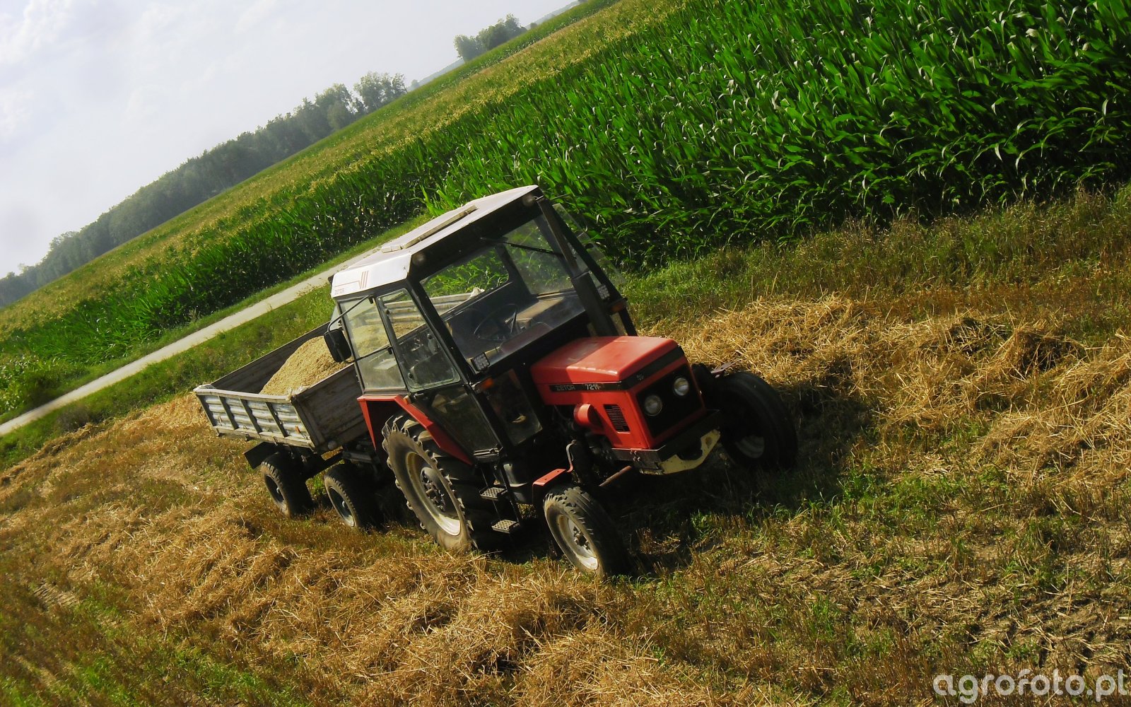 Zdjęcie traktor Zetor 7211 id 735234 Galeria rolnicza agrofoto