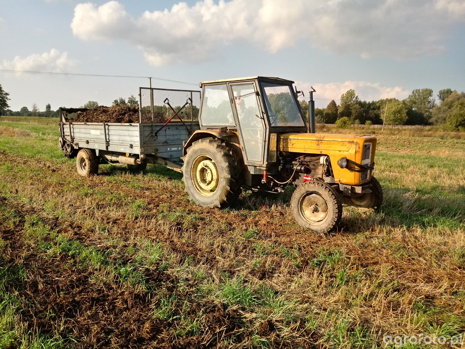 Fotografia Traktor Ursus I Rozrzutnik 740873 Galeria Rolnicza Agrofoto