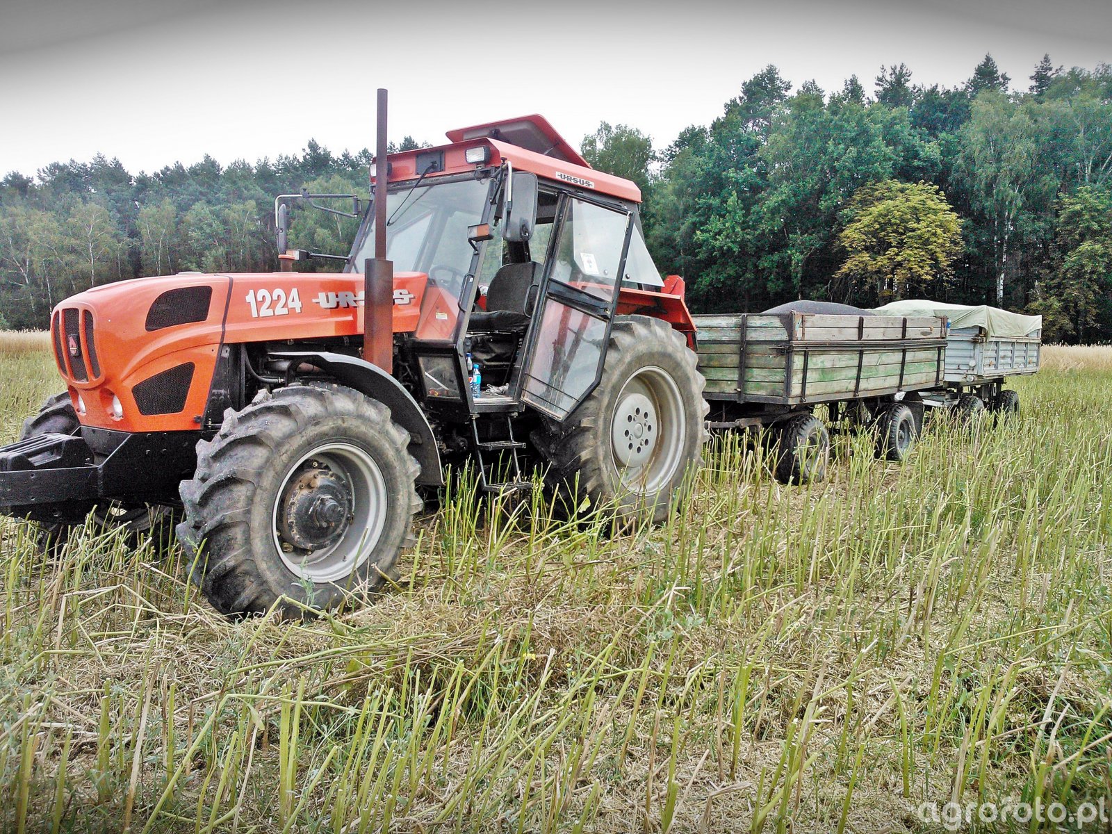 Foto Ciagnik Ursus 1224 515882 Galeria Rolnicza Agrofoto