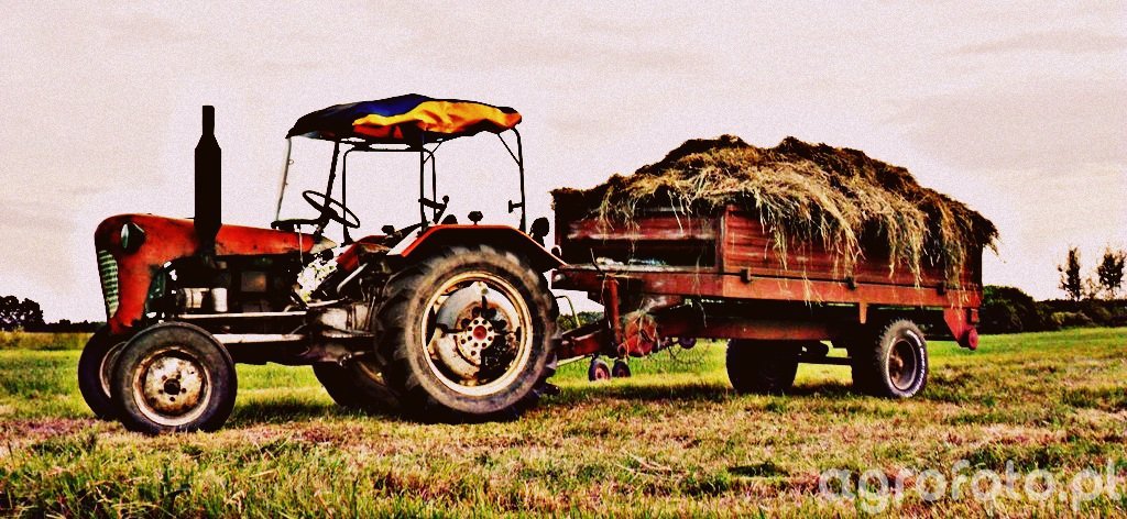 Obraz Traktor Ursus C Rozrzutnik Galeria Rolnicza Agrofoto