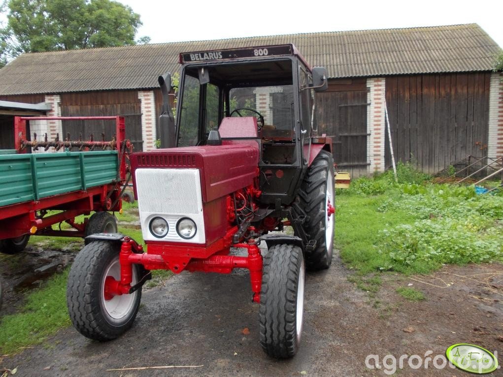 Zdjęcie ciagnik Belarus 800 439731 Galeria rolnicza agrofoto