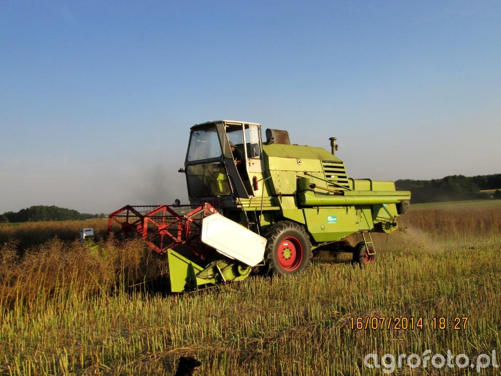 Claas Mercator Obrazek Fotka Zdjecie Photo Galeria