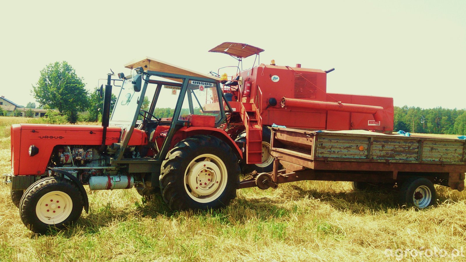 Kombajn Bizon Z056 zdjęcie 543534 Galeria rolnicza agrofoto