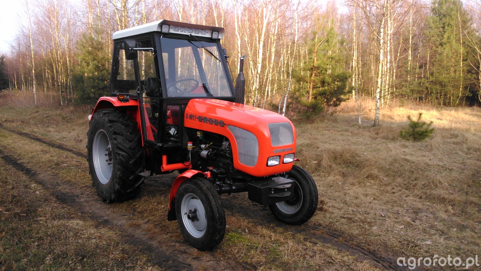 Obraz Traktor Ursus C 4011 548334 Galeria Rolnicza Agrofoto