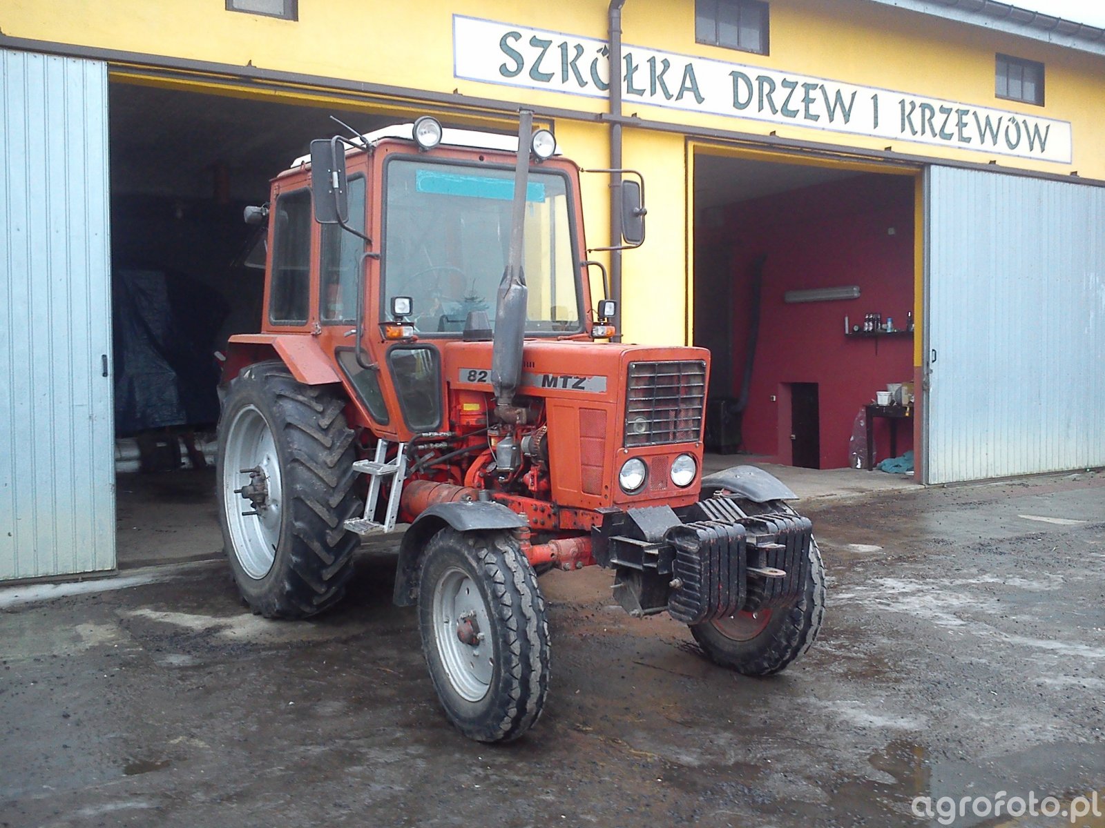 Obraz ciągnik MTZ 80 id 481919 Galeria rolnicza agrofoto