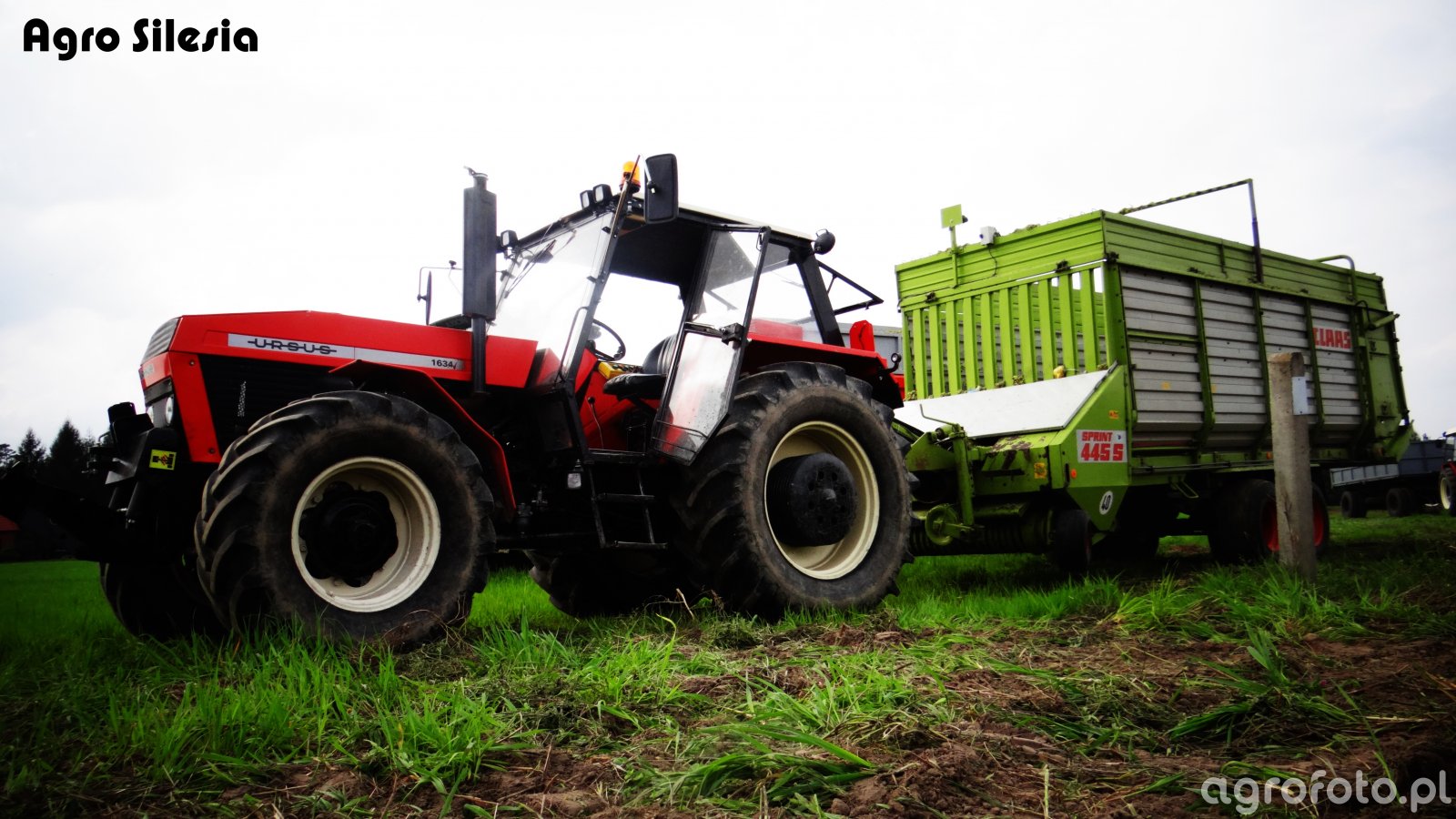 Foto Traktor Ursus Id Galeria Rolnicza Agrofoto