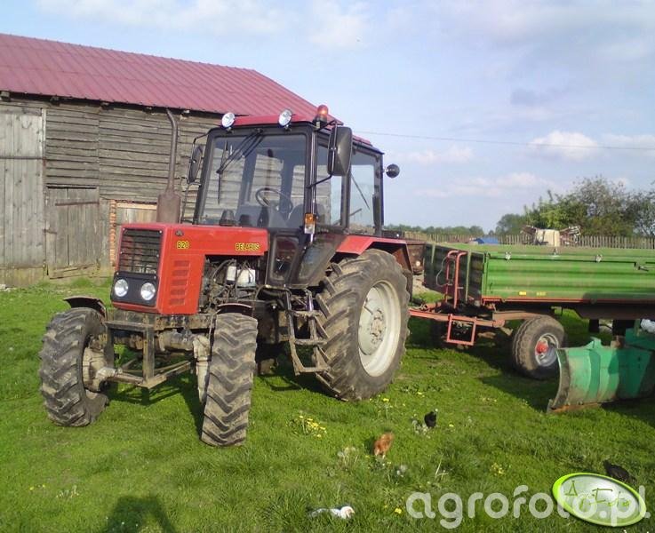 Obraz Ciagnik Belarus Przyczepa Galeria Rolnicza Agrofoto