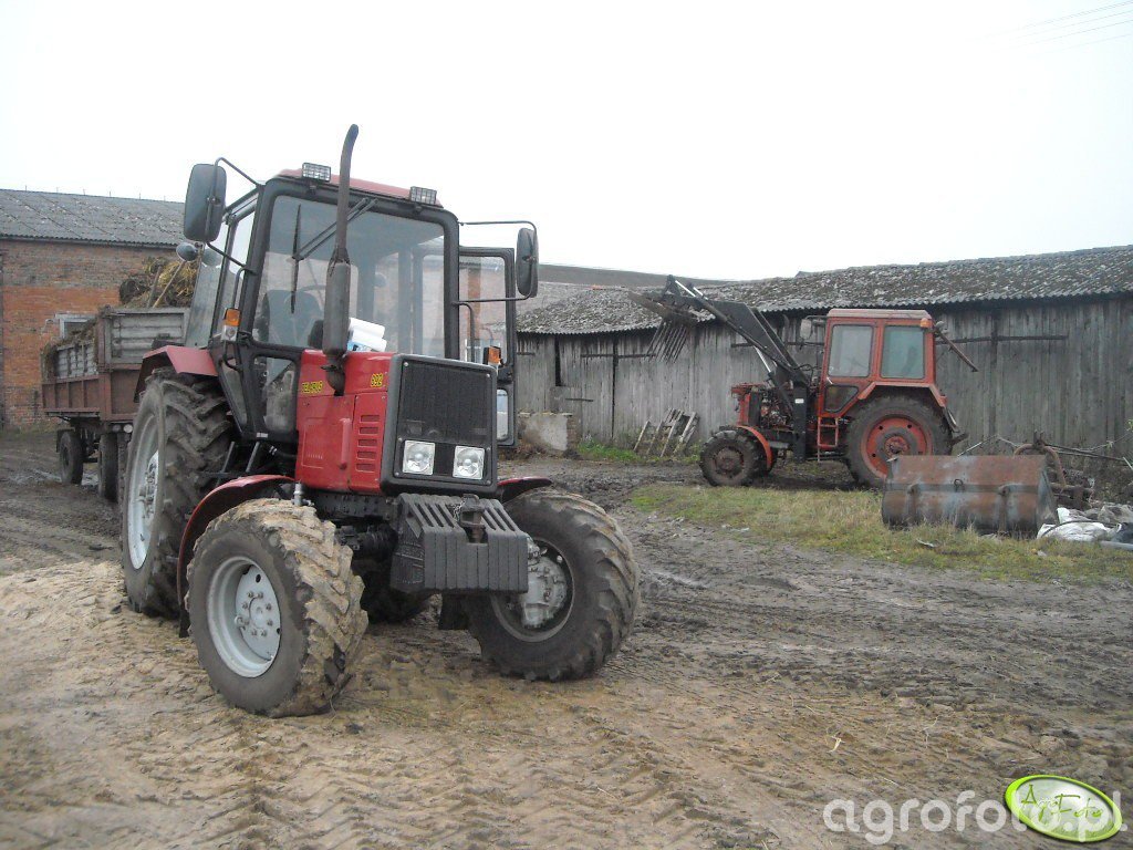 Obraz Traktor Belarus I Mtz Id Galeria Rolnicza Agrofoto