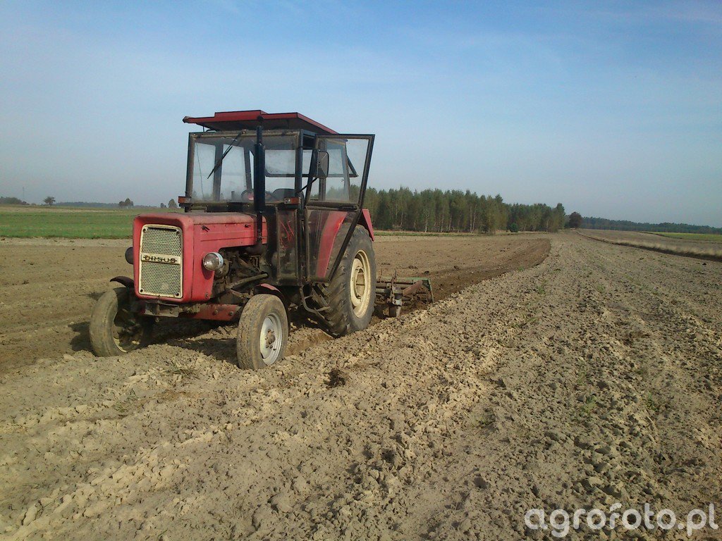 Fotografia ciągnik ursus C 360 UG id 527913 Galeria rolnicza agrofoto