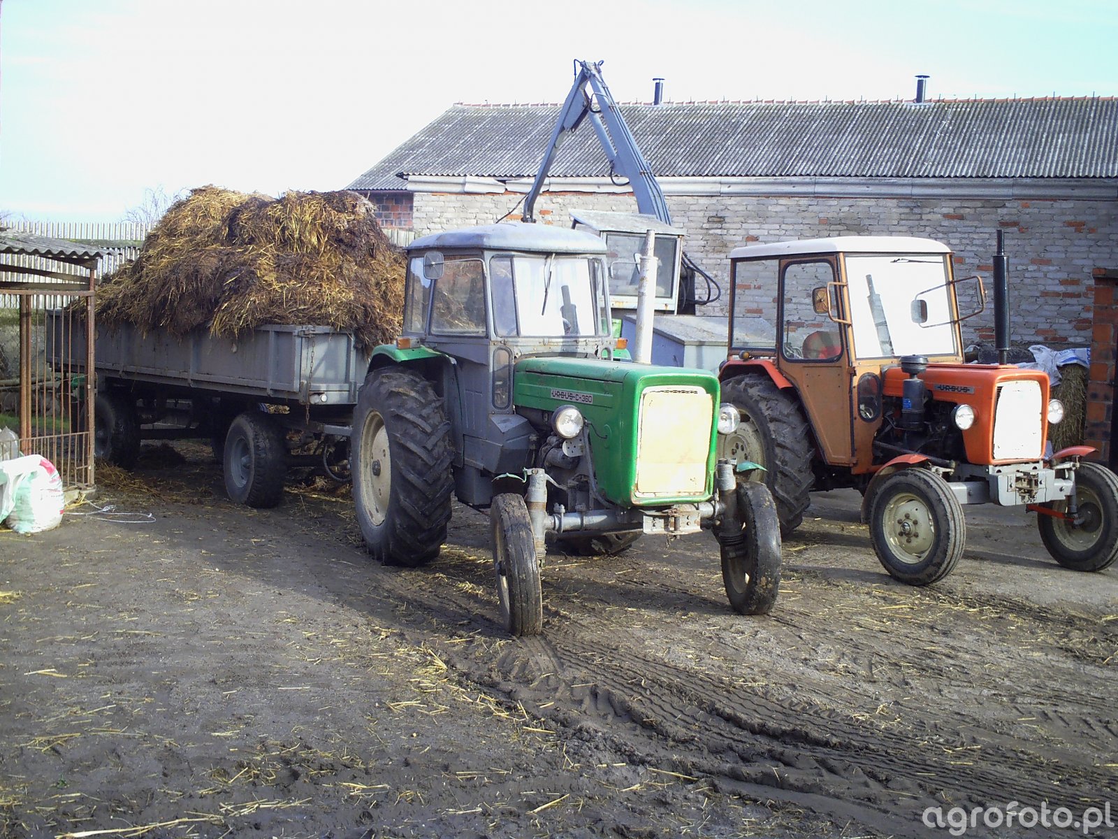 Fotografia Traktor Ursus C Galeria Rolnicza Agrofoto