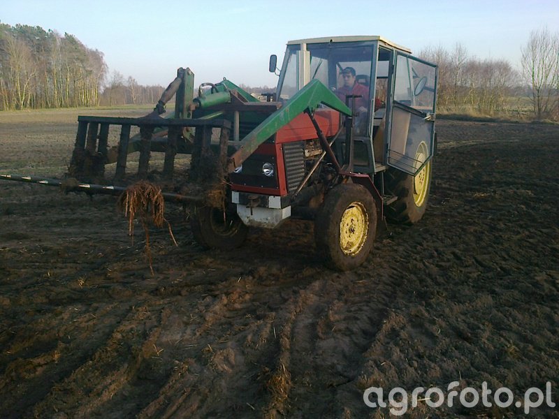 Foto Ciagnik Ursus C 385 498650 Galeria Rolnicza Agrofoto