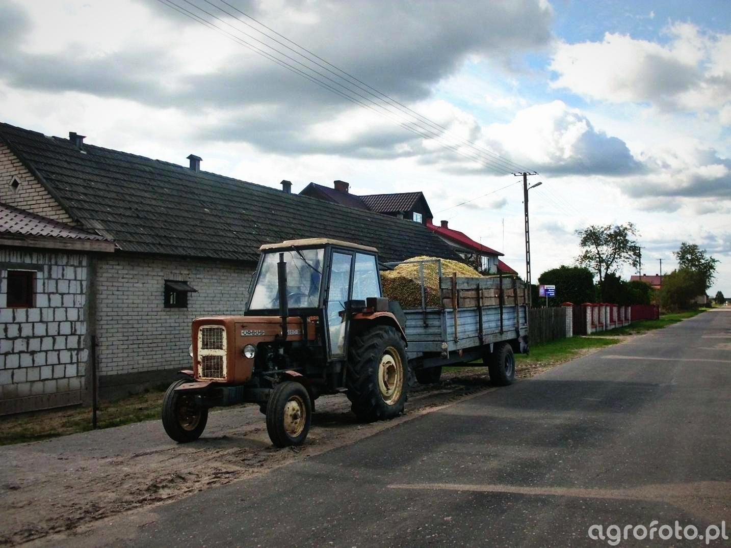 Zdjęcie traktor Ursus C 360 3P i rozrzutnik 456752 Galeria rolnicza