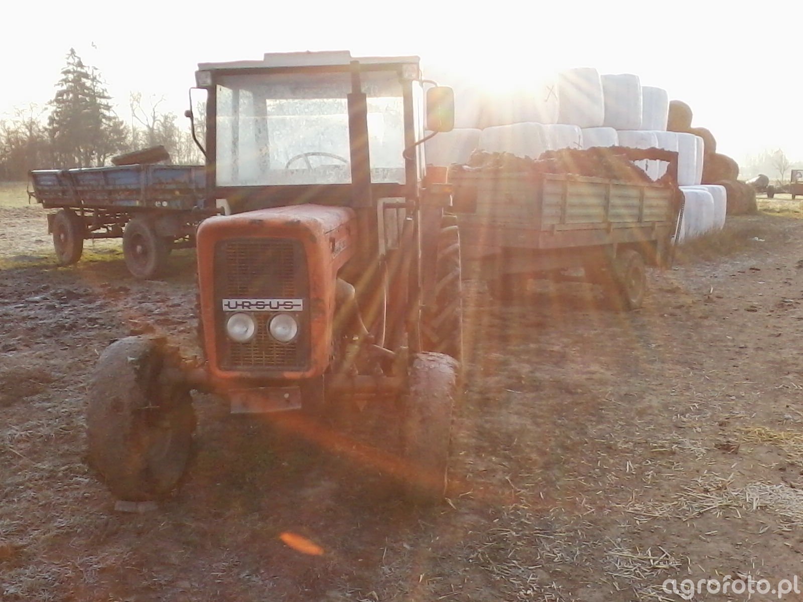 Foto Traktor Ursus C Rozrzutnik Obornika Id Galeria