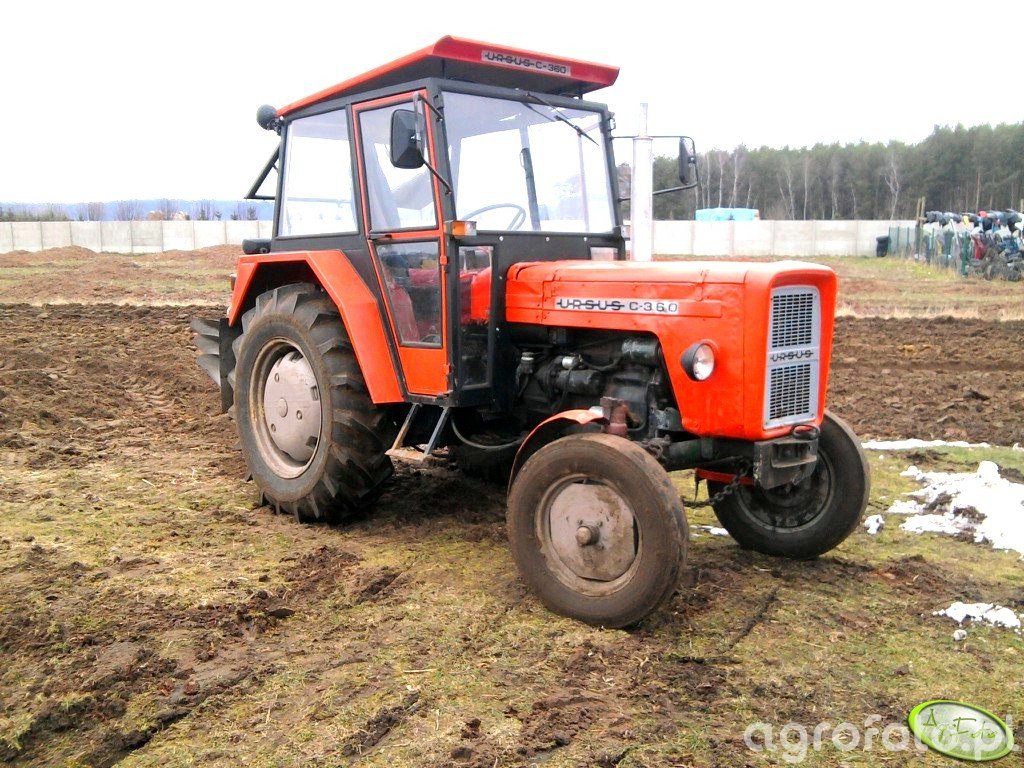 Obraz Traktor Ursus C 355 Id 424399 Galeria Rolnicza Agrofoto