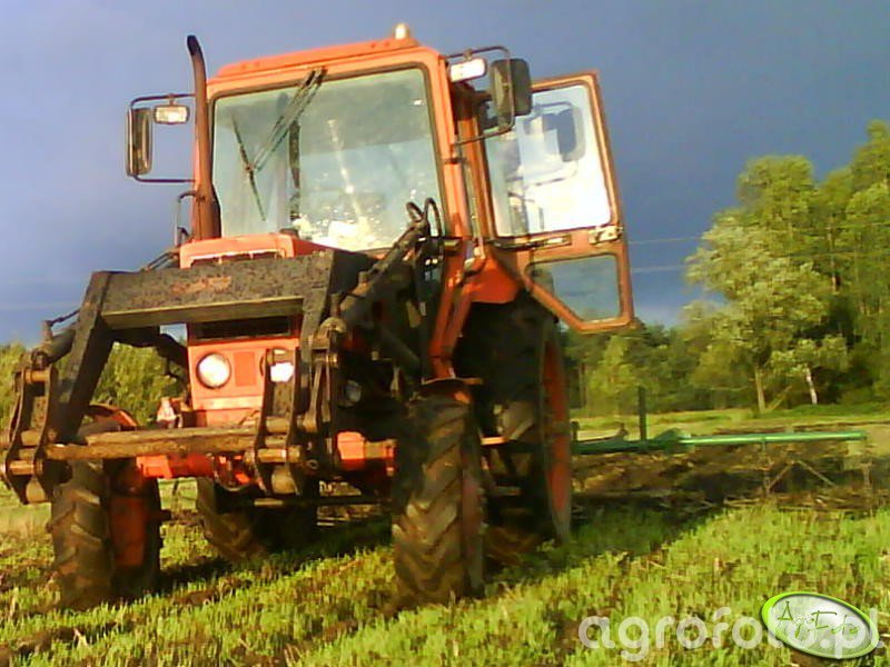 Zdjęcie ciagnik MTZ 82 id 238495 Galeria rolnicza agrofoto