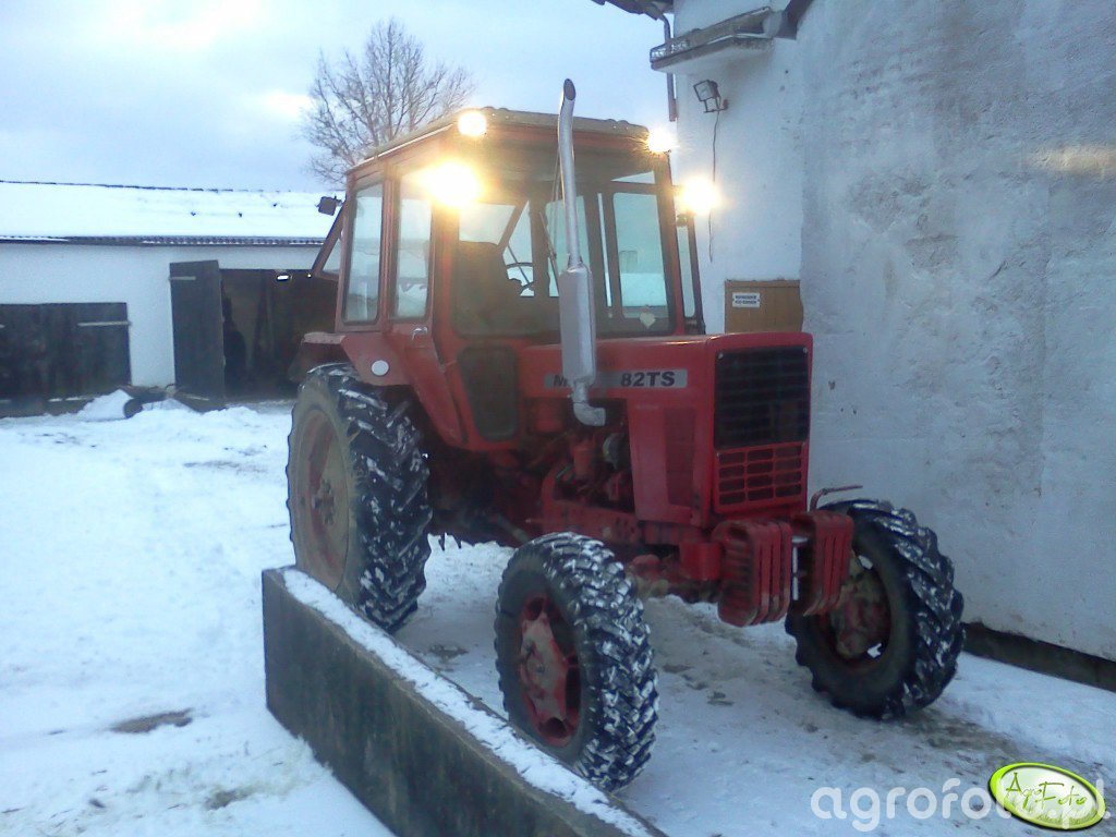 Fotografia Ciagnik MTZ 82 274185 Galeria Rolnicza Agrofoto