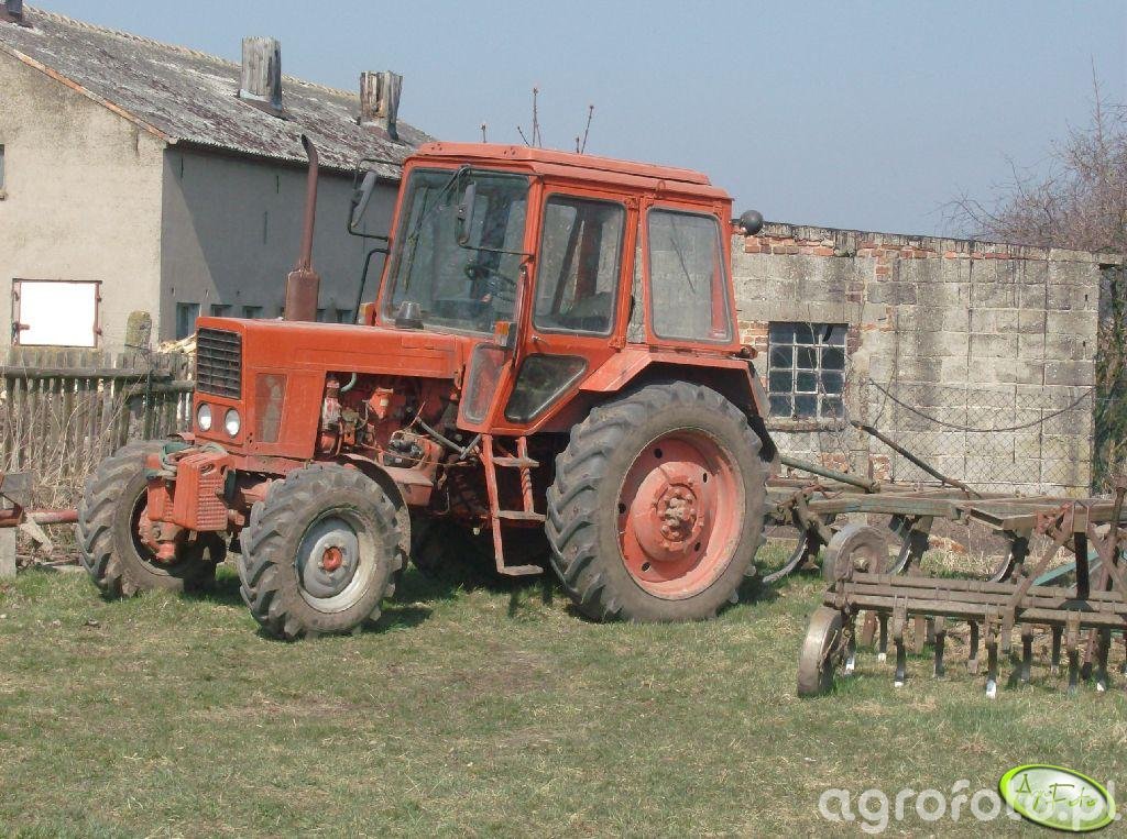 Obraz Ciagnik MTZ 82 Id 128435 Galeria Rolnicza Agrofoto