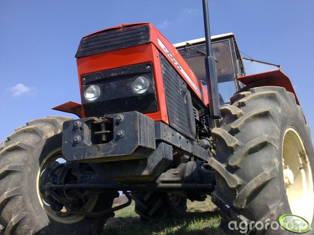 Obraz Ciagnik Ursus 1204 Id 357549 Galeria Rolnicza Agrofoto