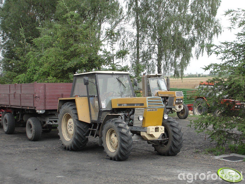 Foto Traktor Ursus 1224 312505 Galeria Rolnicza Agrofoto