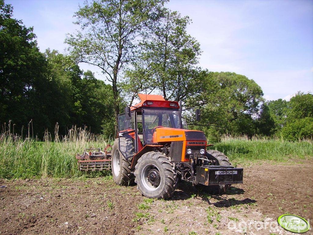 Zdj Cie Ciagnik Ursus Id Galeria Rolnicza Agrofoto