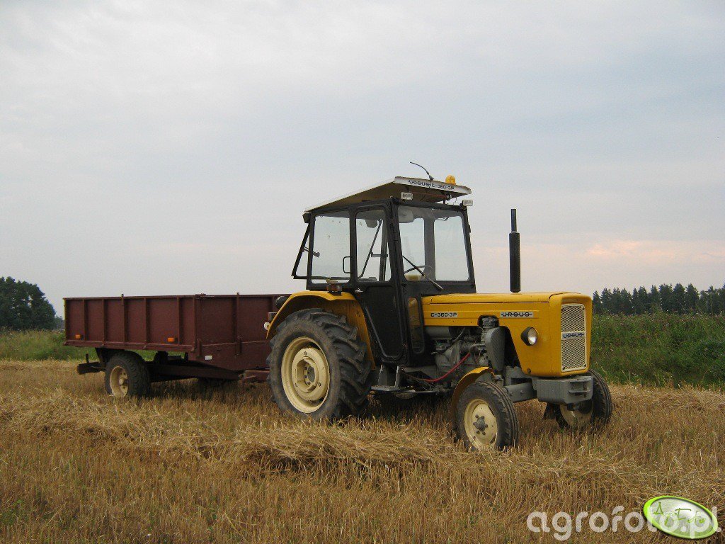 Fotografia Traktor Ursus C 360 3P Przyczepa Id 342174 Galeria