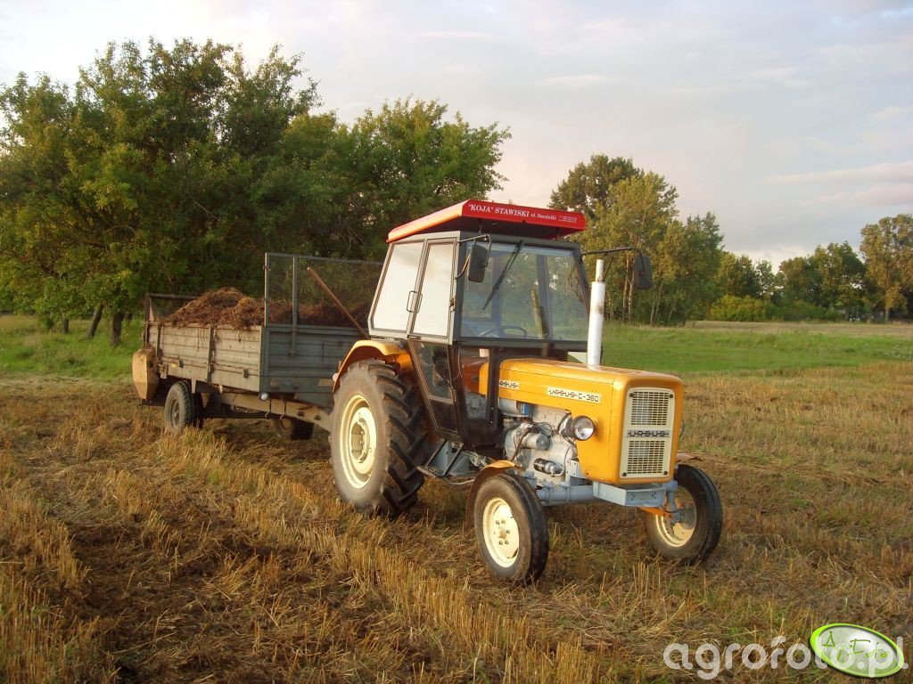 Obraz Traktor Ursus C 360 Rozrzutnik 179315 Galeria Rolnicza Agrofoto