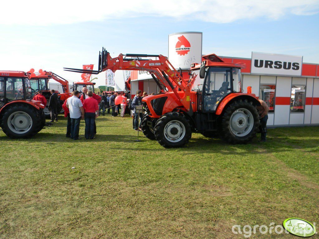 Ursus Obrazek Fotka Zdjecie Photo Galeria Rolnicza Agrofoto