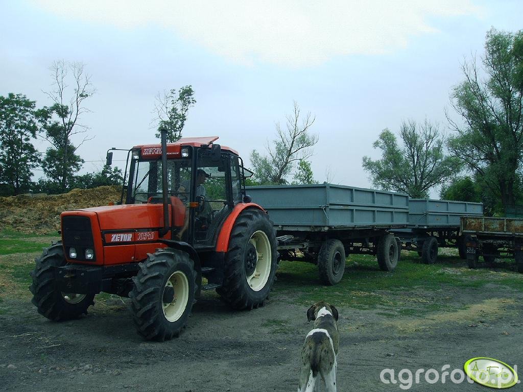 Obraz Traktor Zetor Id Galeria Rolnicza Agrofoto