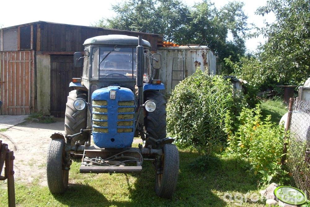 Obraz Ciagnik Zetor 3011 Id 165154 Galeria Rolnicza Agrofoto