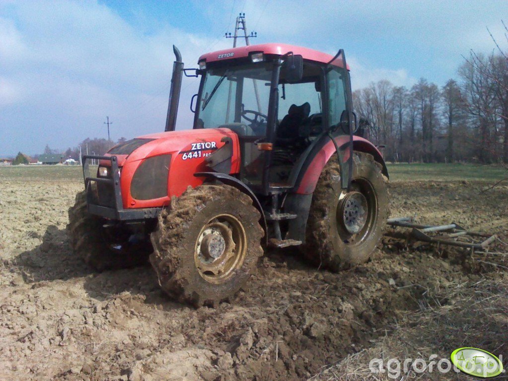 Fotografia Traktor Zetor Proxima 6441 370049 Galeria Rolnicza Agrofoto