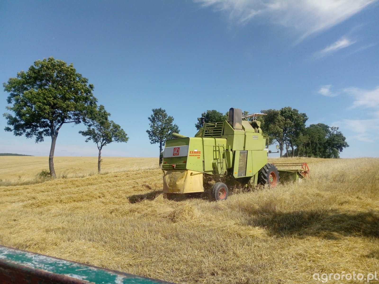 Claas Mercator Obrazek Fotka Zdjecie Photo Galeria