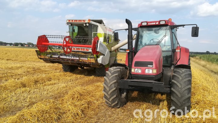 Starsze modele traktorów Case Galeria rolnicza agrofoto