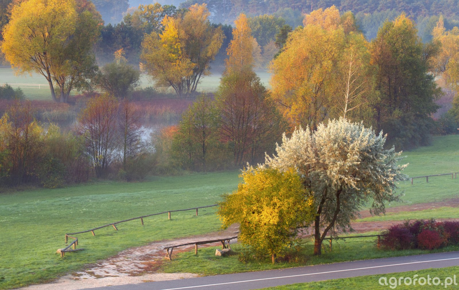 Jesień Obrazek fotka zdjecie photo 764452 Galeria rolnicza agrofoto