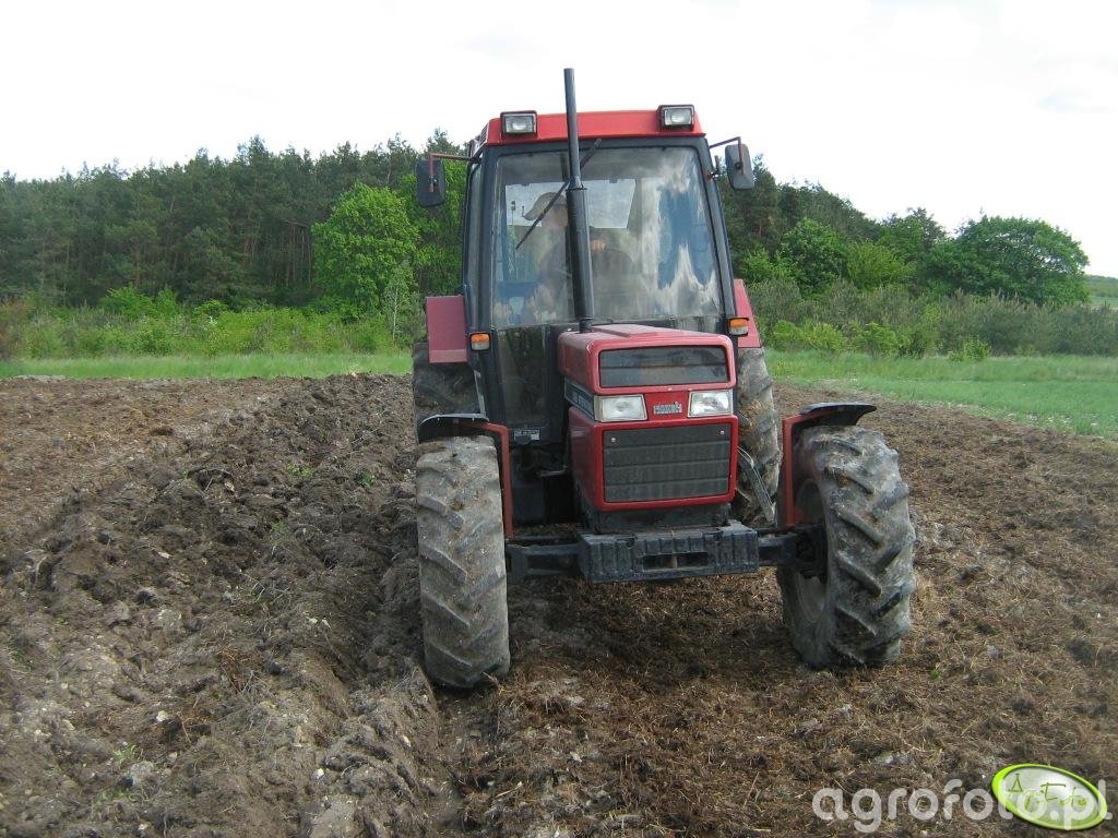 Fotografia Traktor Case 845 XL Plus Id 140142 Galeria Rolnicza Agrofoto