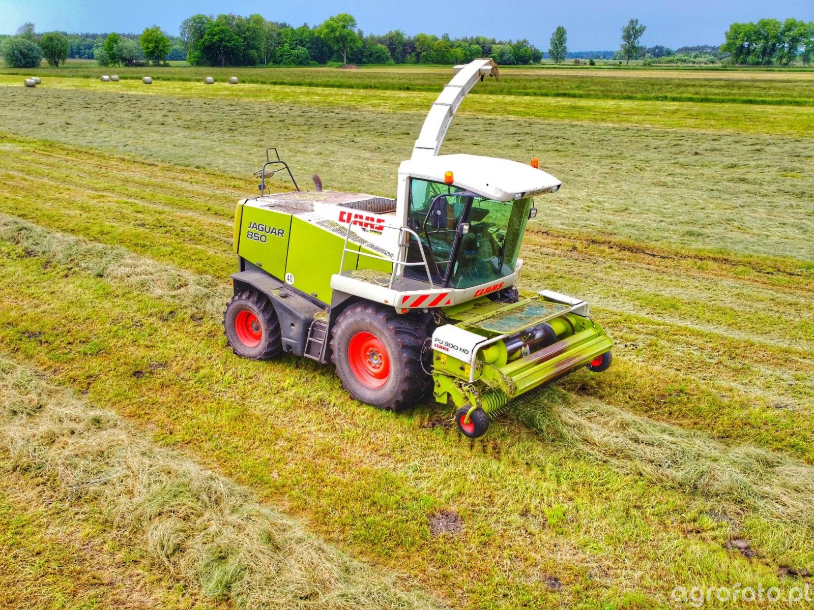 Kombajn Claas Jaguar Fotka 801490 Galeria Rolnicza Agrofoto