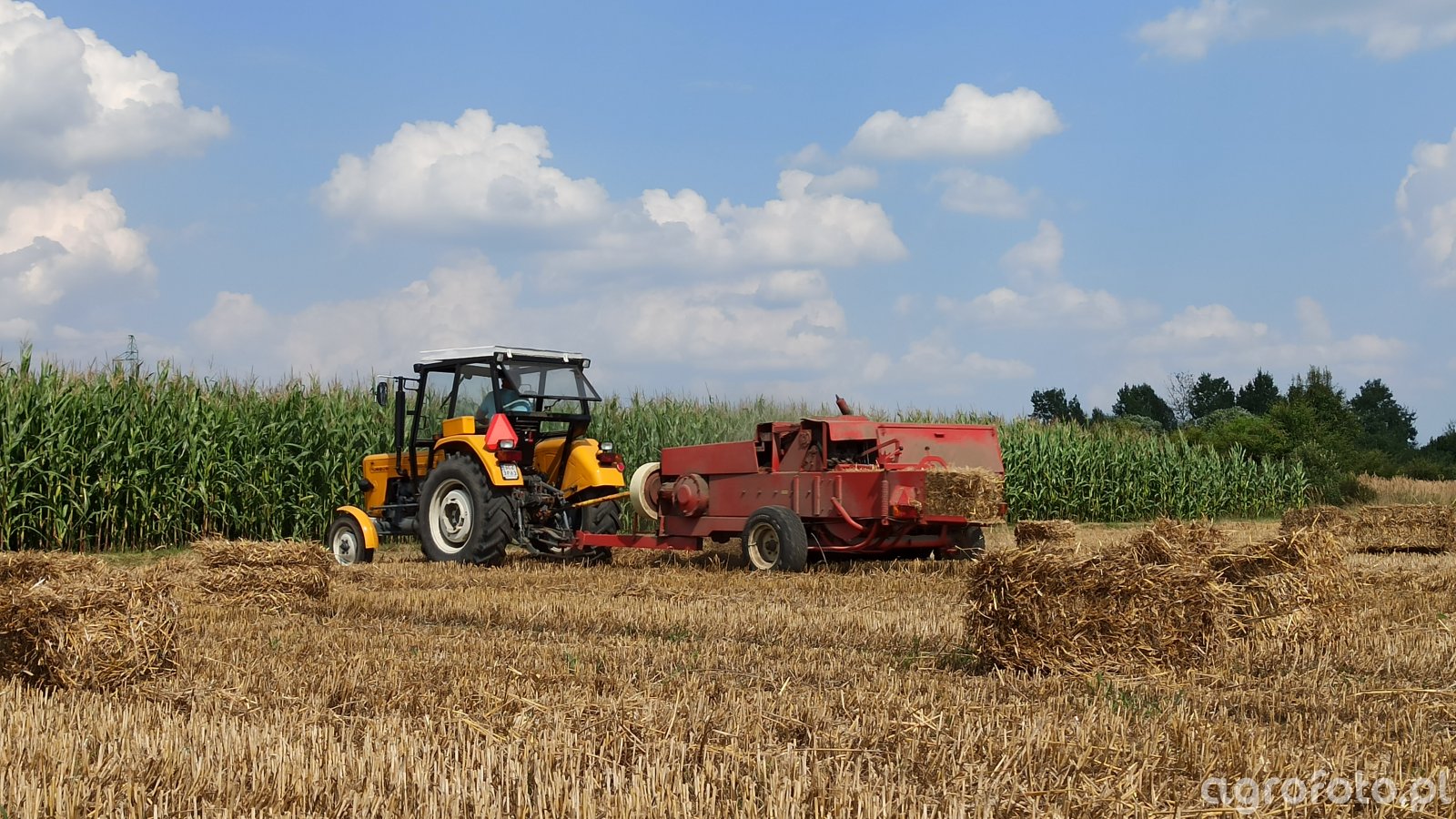 Fotografia Traktor Ursus C 360 3P Sipma Z 224 Id 804945 Galeria