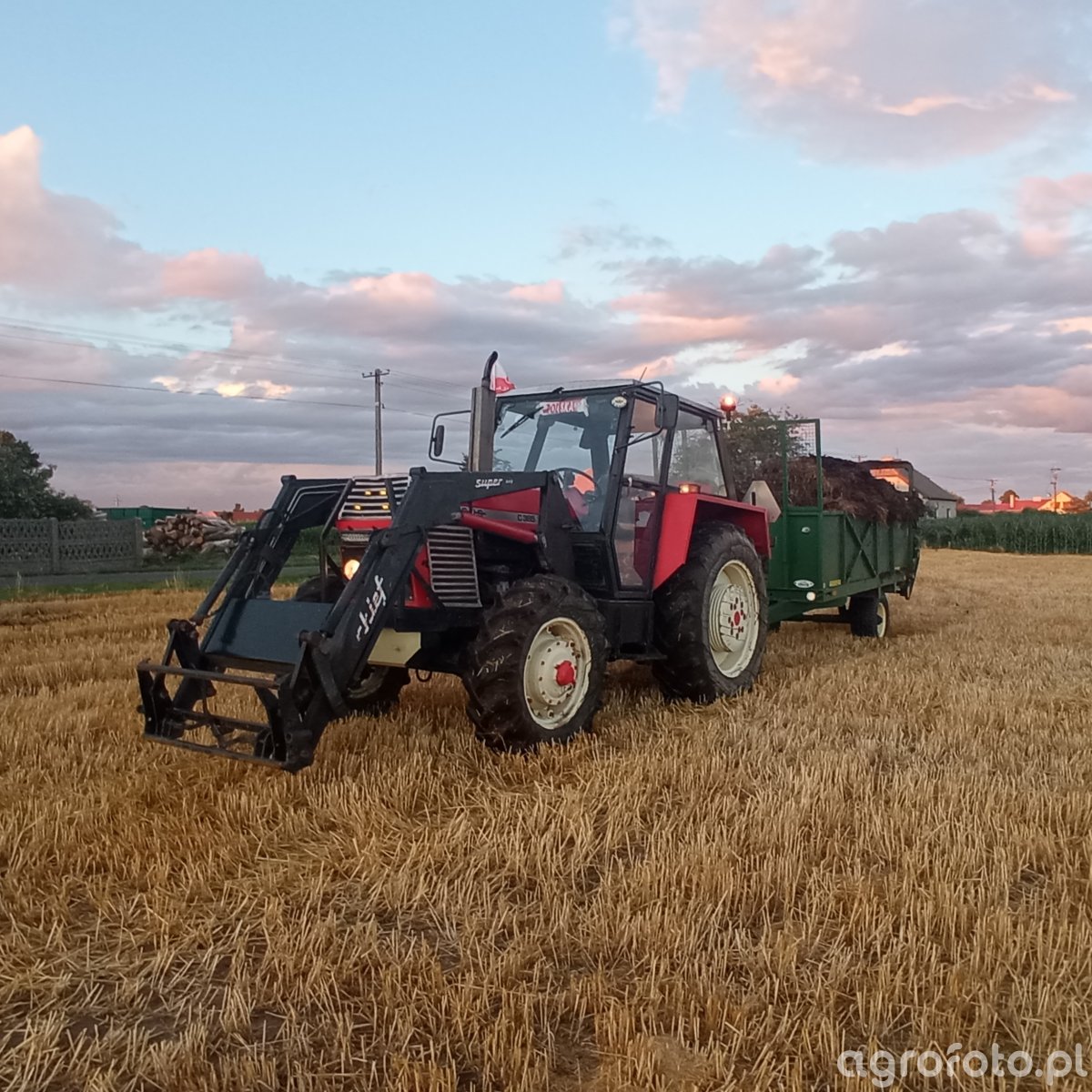 Foto Ci Gnik Ursus Galeria Rolnicza Agrofoto