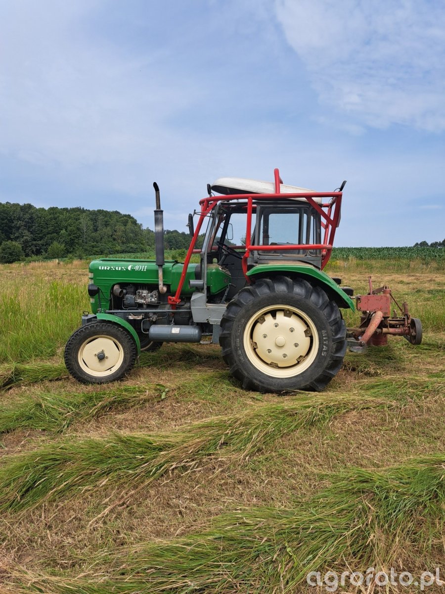 Obraz ciągnik Ursus C 4011 id 836502 Galeria rolnicza agrofoto