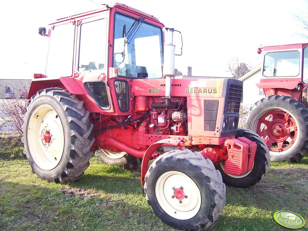 Foto traktor Belarus 825 id:14825 - Galeria rolnicza agrofoto