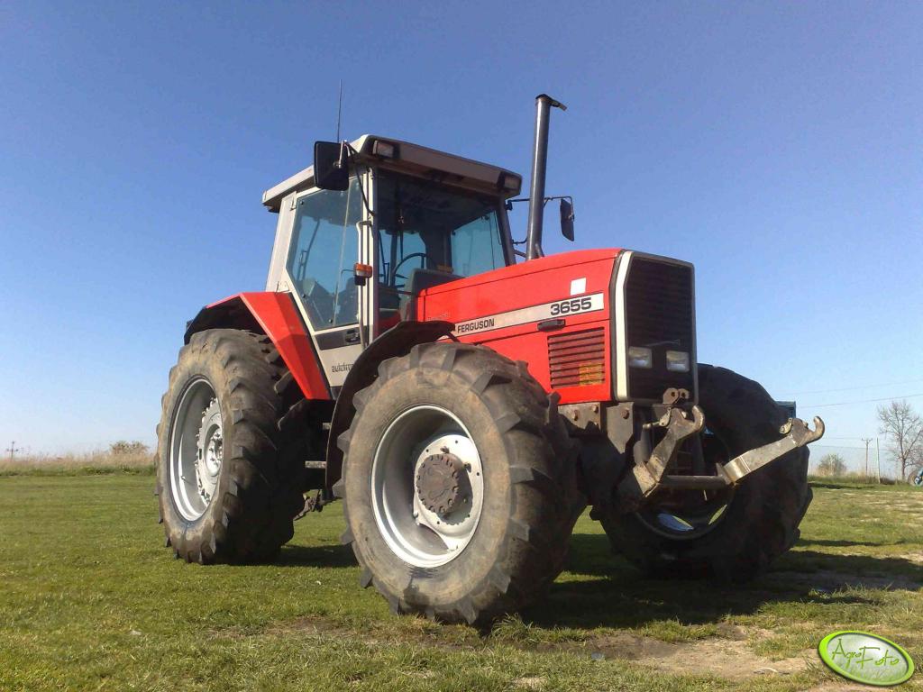 Zdjęcie traktor Massey Ferguson 3655 #143380 - Galeria rolnicza agrofoto