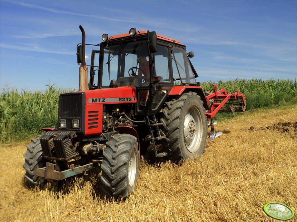 Fotografia traktor MTZ 82 TS + Gruber id:381326 - Galeria rolnicza agrofoto